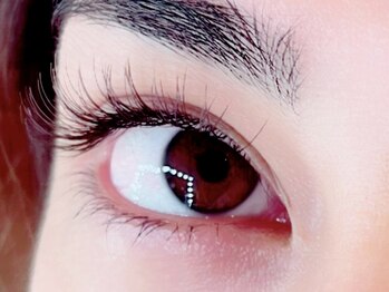 アイラッシュ ザクア(XAQUA)/ブラウンフラット