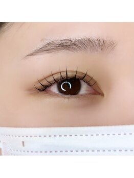 ポレ(pole)/フラットラッシュ120本