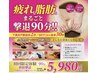 【1回集中】エステ史上最強マシン×オーダー痩身！全身まるごと脂肪撃退90分