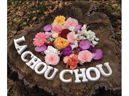 ラシュシュ(la chou chou)の写真