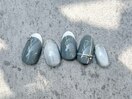 PG011681785