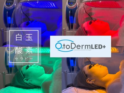 ヴェリス 新宿店(Velisse)の写真