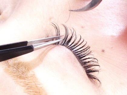 カバー(COVER)の写真