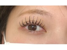 ビューティー アイラッシュ ベルウインク(Bellewink)/パリエク80本