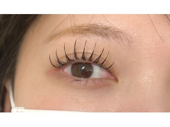 ビューティー アイラッシュ ベルウインク(Bellewink)/パリエク80本