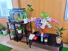 オイル・炭酸泡を使用