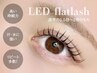 【圧倒的モチ！】LEDフラットラッシュ100本¥6380
