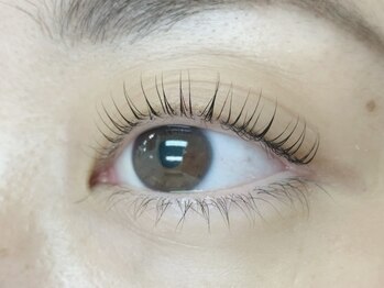 プラスアイ 吉祥寺南口店/まつげパーマ