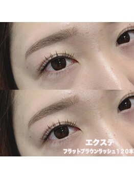 レディエント(Radiant)/フラットブラウンラッシュ120本