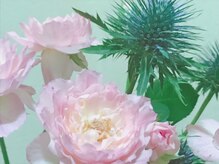 ハミングバード/今日のお花