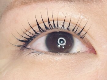 コボアイラッシュ(COVO.eyelash)/ラッシュリフト