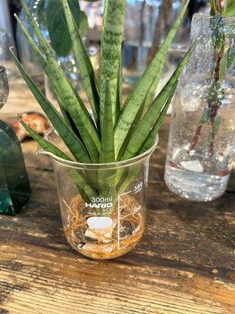 アジアンリラクゼーション ヴィラ 川崎生田店(asian relaxation villa)/