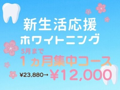 ベル(BEL)の写真