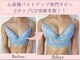 エススタイル 心斎橋(S-style)の写真