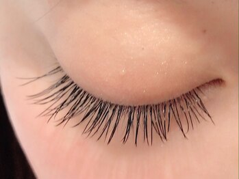 カラン 焼津店(CALIN)/フラットラッシュ120本