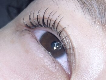 コボアイラッシュ(COVO.eyelash)/ラッシュリフト