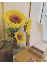 ヨサパーク ヒマワリ 木津川店(YOSA PARK himawari)/