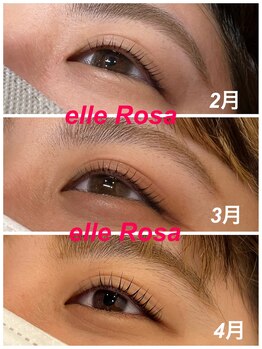 エステティック エルローザ(Esthetique elle Rosa)/アディクトカール