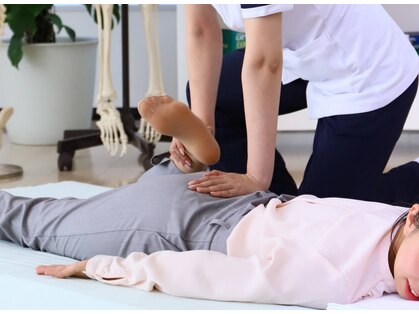 ベイシス(basis)の写真