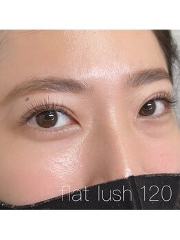 シェヌ(Chez nous)/＊フラットラッシュ120本