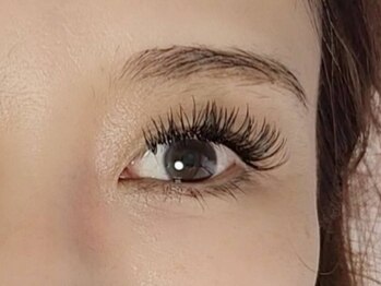 シェリー(CHERIE)/