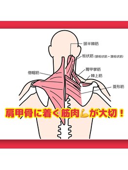 しまだ施術院 佐野店の写真/ガチガチな首こり・肩こりをゆるゆるに。身体に負担の少ない整体で肩こりを気にせず過ごせる毎日へ