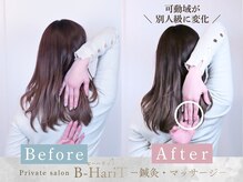 ビーハリット(B-HariT)の雰囲気（国家資格保持のプロが皆様の健康を徹底サポートしていきます）