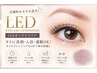 期間限定☆LEDマツエクフラットラッシュ140本 持続力◎