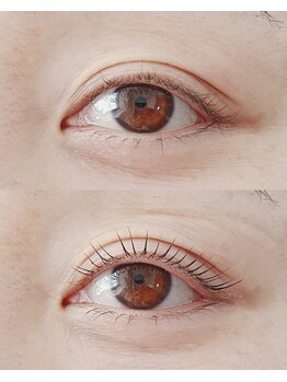 アピアチェーレ 南浦和(a.piacere)/マイラミネーション上下