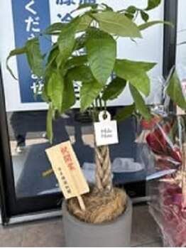 整体院スリーバランス 志布志院/