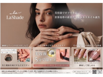 ラナメリア(Lana melia)の写真