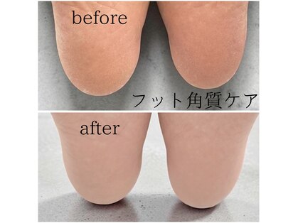 彩 いろどりの写真