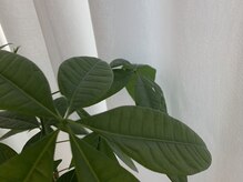 901(ナインティワンネイル)/