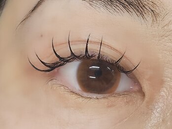 ビュー(V.I.E.W)/FLATLASH１００本