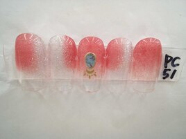 季節の定額4900円コ―ス