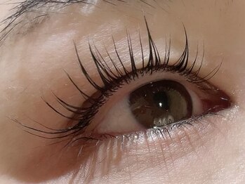 カラン 焼津店(CALIN)/上下ラスティングカール