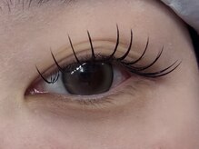 シエル(Ciel)/LED/フラットラッシュ100本