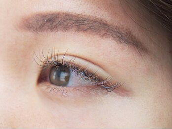 グリー 川口駅前店(glee)/カ-キ×ライト×パープル×ブル-