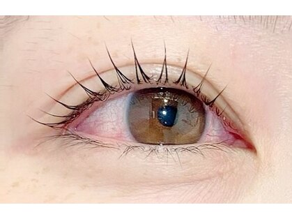 ウチ(Uti)の写真