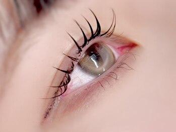 マリーメリー(marie merry)/アンドヘルシー120