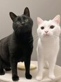 クレール バイ アミュール(CLAIR by.amulu)&nbsp;お家ににゃんこがいます(=^ ^=)