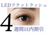 【LEDフラットラッシュ】4週間以内割引☆付ける本数をメニューから選んで予約