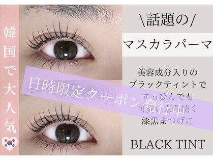 モニカ(MONICA)の写真