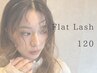 フラットラッシュ120本(ブラウン変更可能+¥500)