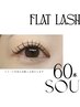 フラットラッシュ60本