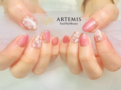 アルテミス(ARTEMIS)の写真