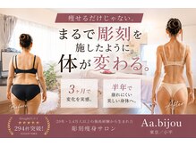 エイエービジュー(Aa.bijou)