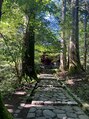 ラピス(Lapis) 自然を感じるスポット♪マイナイオンが沢山。。。