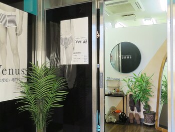 ヴィーナス(Venus)/トイレで感動すること間違いなし