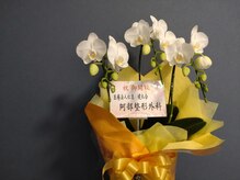 気楽に屋(KIRAKUNIYA)/お花